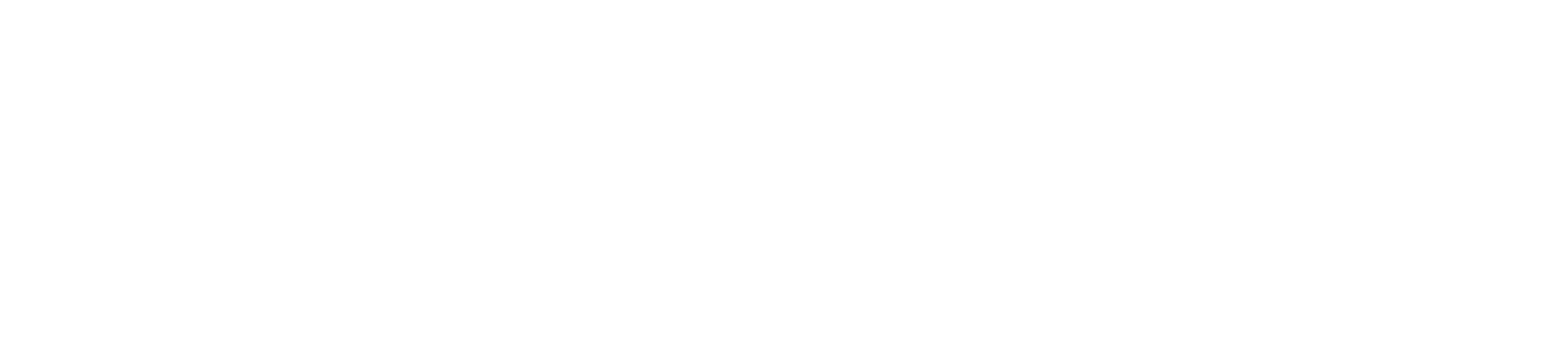 Le Gioie Group LLC